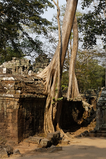 Ta Phrom et environs-112
